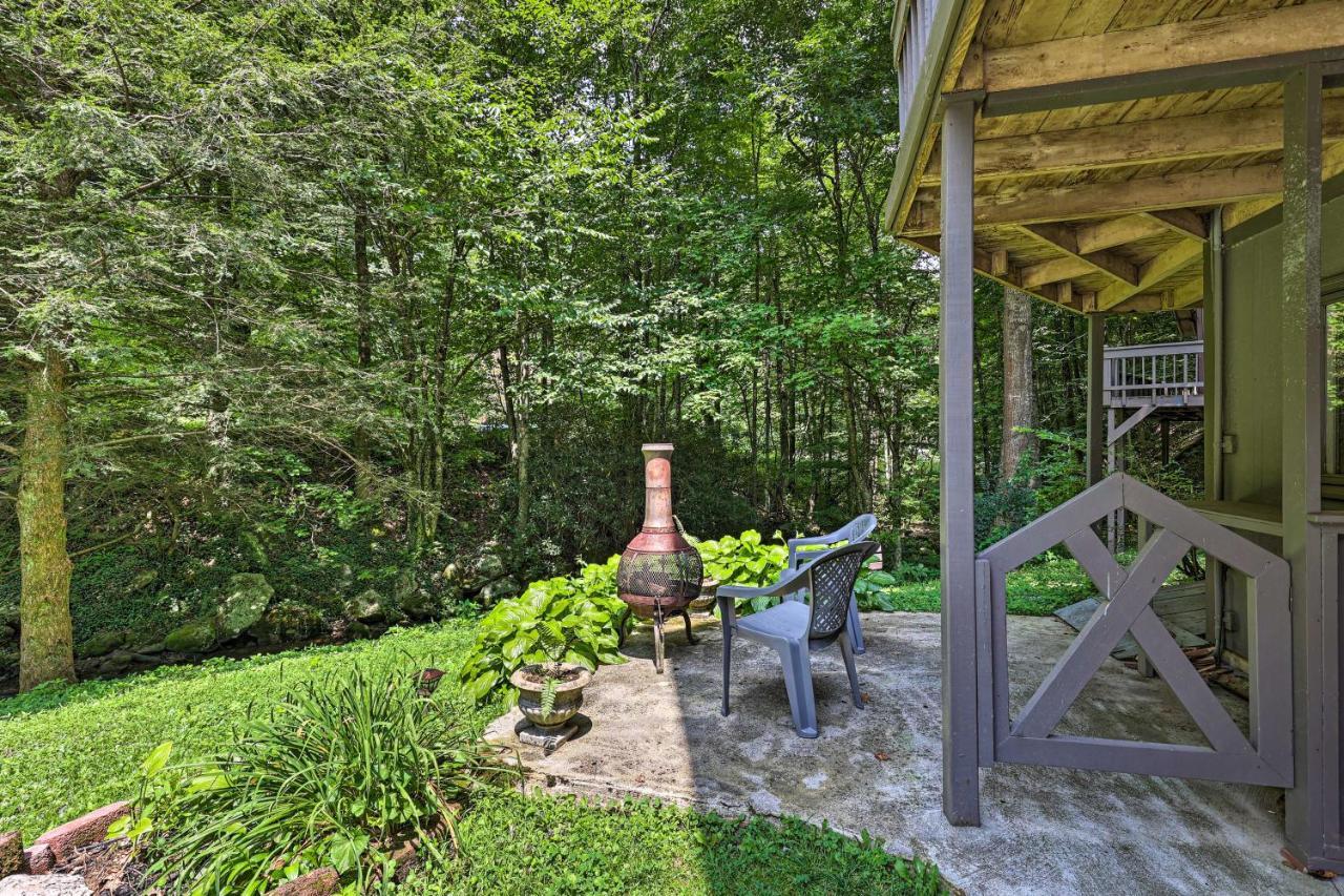 Creekside Roan Mountain Cabin Walk To Trails Eksteriør billede