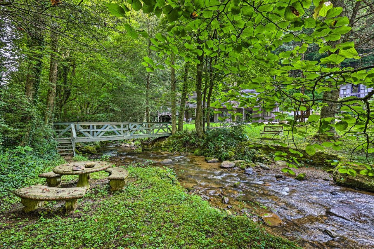 Creekside Roan Mountain Cabin Walk To Trails Eksteriør billede