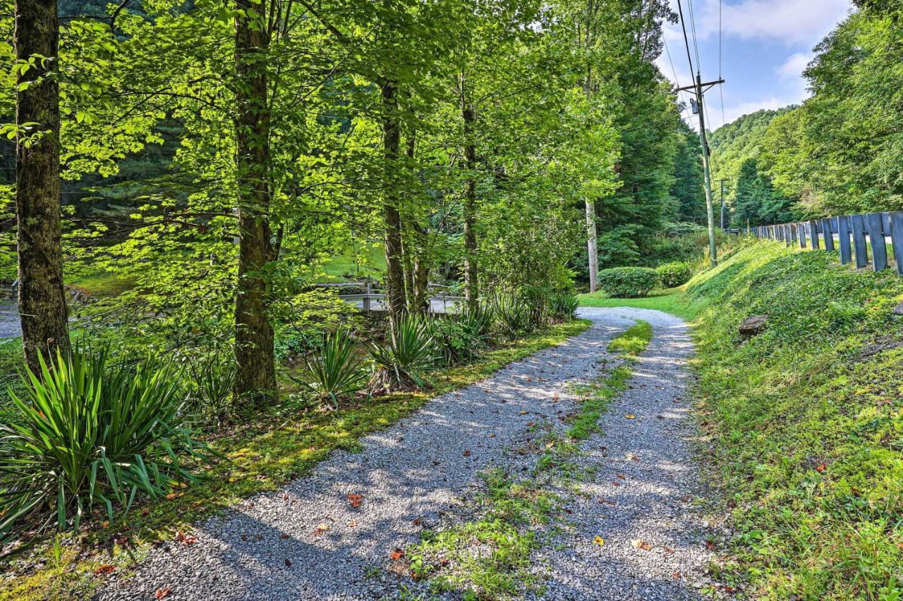 Creekside Roan Mountain Cabin Walk To Trails Eksteriør billede