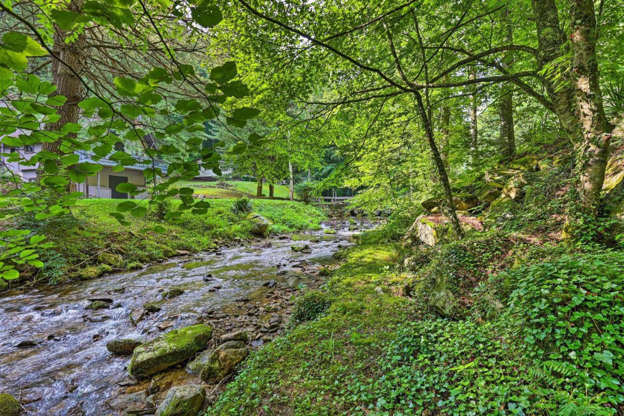 Creekside Roan Mountain Cabin Walk To Trails Eksteriør billede